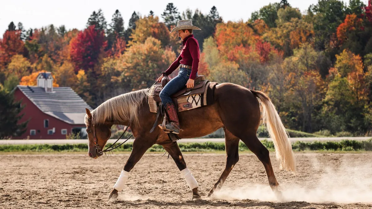 Cavalière en chapeau de cowboy au trot sur un cheval palomino devant les couleurs d'automne